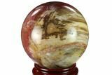 Colorful Petrified Wood Sphere - Madagascar #133864-1